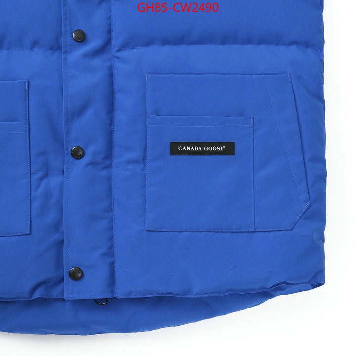 Down jacket Men-Canada Goose,best quality replica , ID: CW2490,$: 85USD