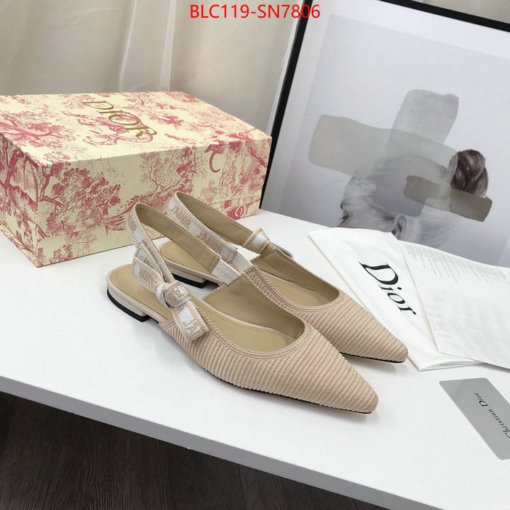 Women Shoes-Dior,how to find replica shop , ID: SN7806,$: 119USD