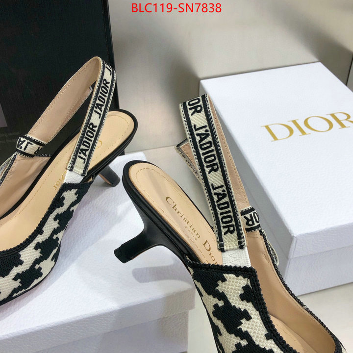 Women Shoes-Dior,can i buy replica , ID: SN7838,$: 119USD