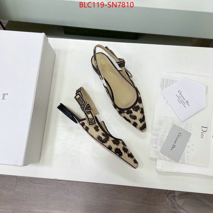 Women Shoes-Dior,7 star , ID: SN7810,$: 119USD