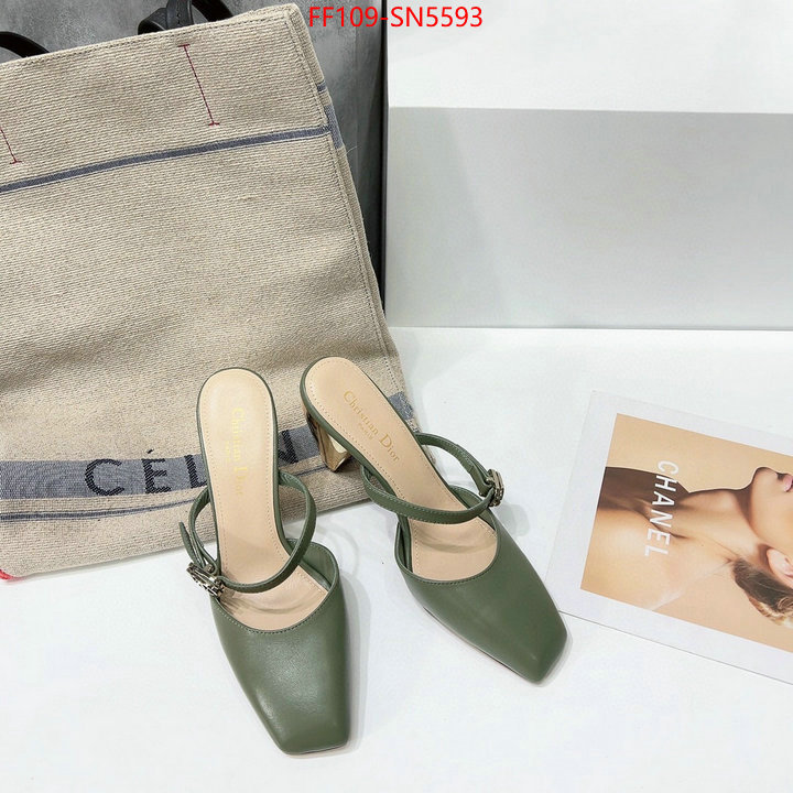 Women Shoes-Dior,designer 7 star replica , ID: SN5593,$: 109USD