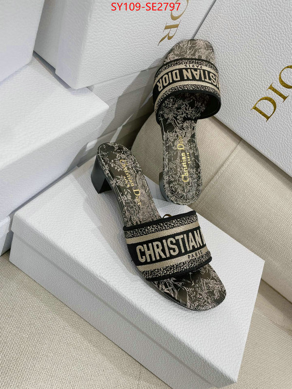 Women Shoes-Dior,shop the best high authentic quality replica , ID: SE2797,$: 109USD