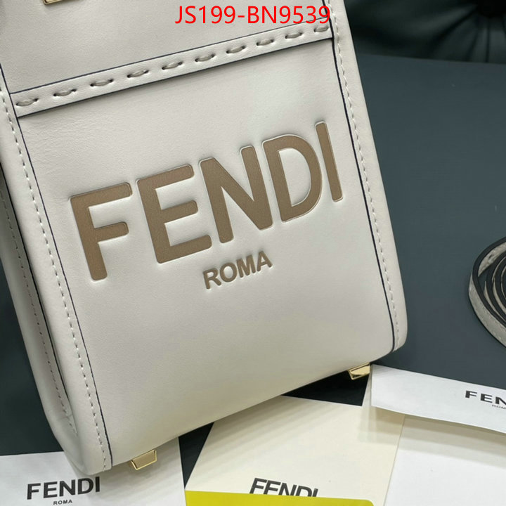 Fendi Bags(TOP)-Sunshine-,buy aaaaa cheap ,ID: BN9539,$:199USD