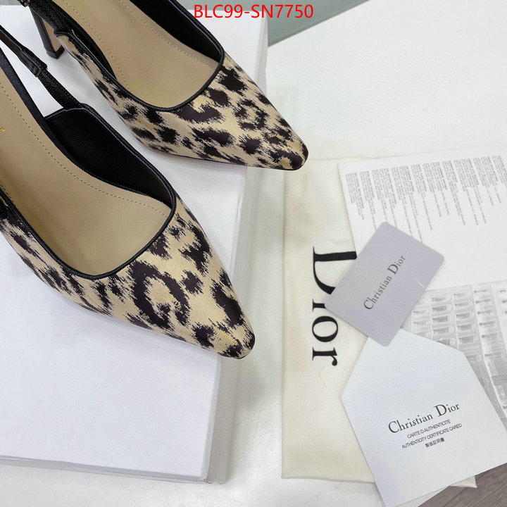 Women Shoes-Dior,high quality designer , ID: SN7750,$: 99USD