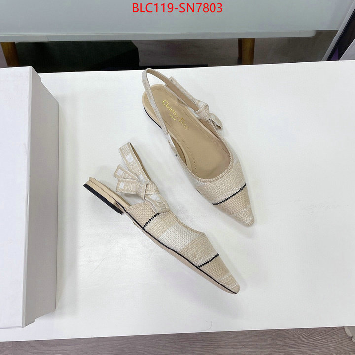 Women Shoes-Dior,replica designer , ID: SN7803,$: 119USD