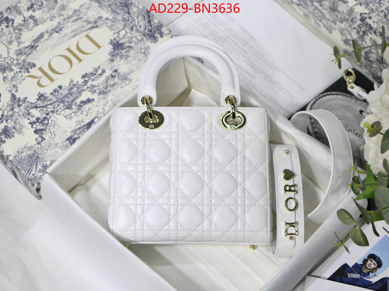 Dior Bags(TOP)-Lady-,ID: BN3636,$: 229USD