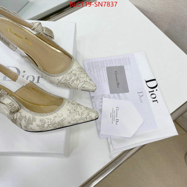 Women Shoes-Dior,replicas , ID: SN7837,$: 119USD