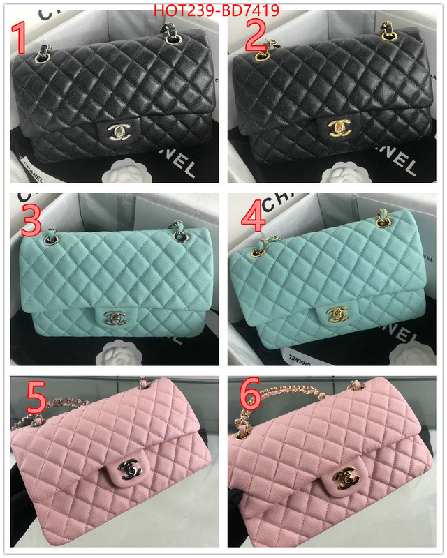 Chanel Bags(TOP)-Diagonal-,ID: BD7419,$: 239USD