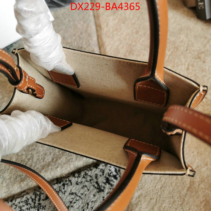 CELINE Bags(TOP)-Cabas Series,is it ok to buy replica ,ID: BA4365,$: 229USD