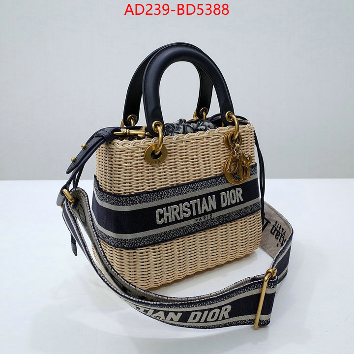 Dior Bags(TOP)-Other Style-,ID: BD5388,$: 239USD