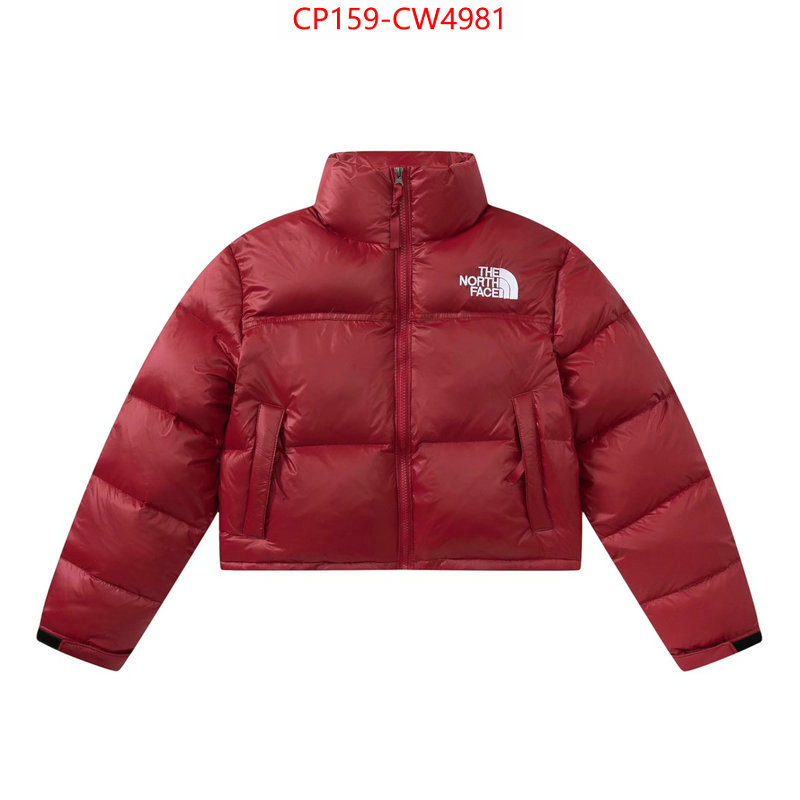 Down jacket Women-The North Face,where can you buy replica , ID: CW4981,$: 159USD