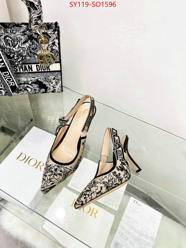 Women Shoes-Dior,high quality online , ID: SO1596,$: 119USD