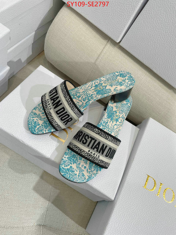 Women Shoes-Dior,shop the best high authentic quality replica , ID: SE2797,$: 109USD