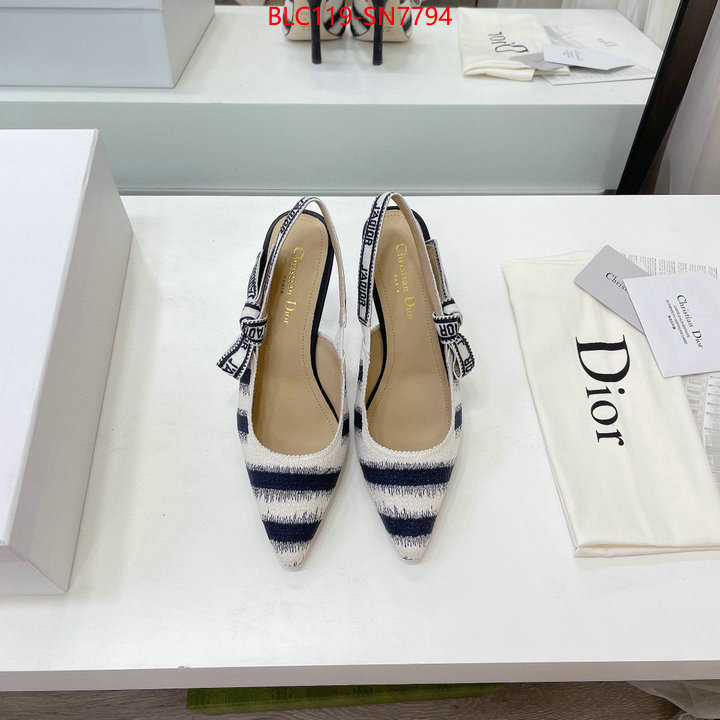 Women Shoes-Dior,online store , ID: SN7794,$: 119USD