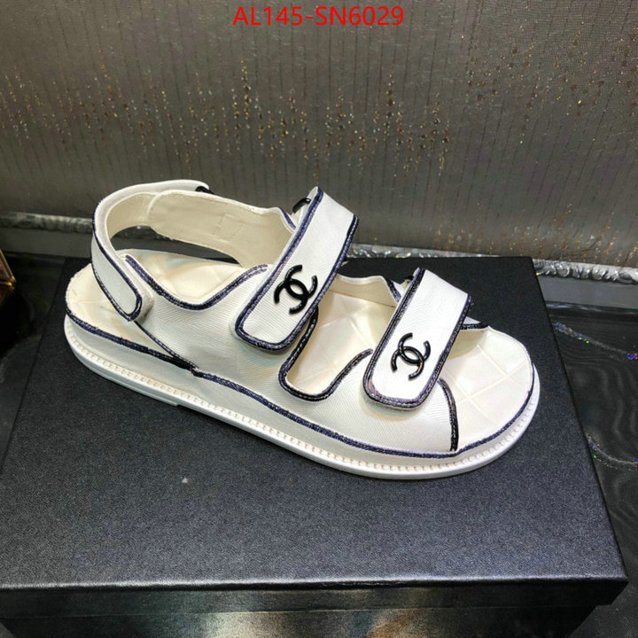 Women Shoes-Chanel,replica online , ID: SN6029,$: 145USD