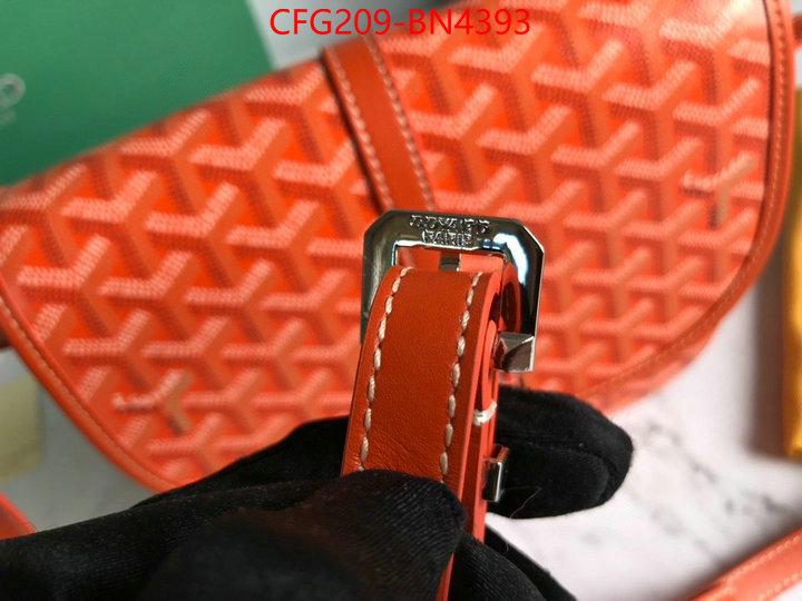 Goyard Bags(TOP)-Diagonal-,ID: BN4393,$: 209USD