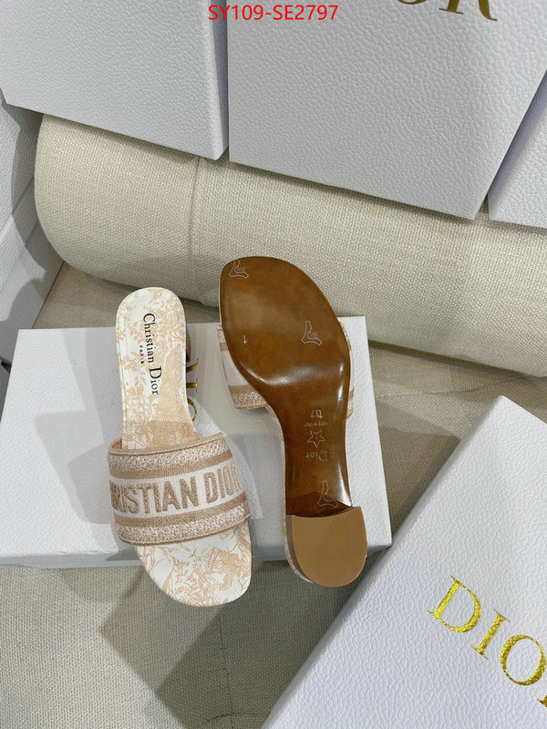 Women Shoes-Dior,shop the best high authentic quality replica , ID: SE2797,$: 109USD