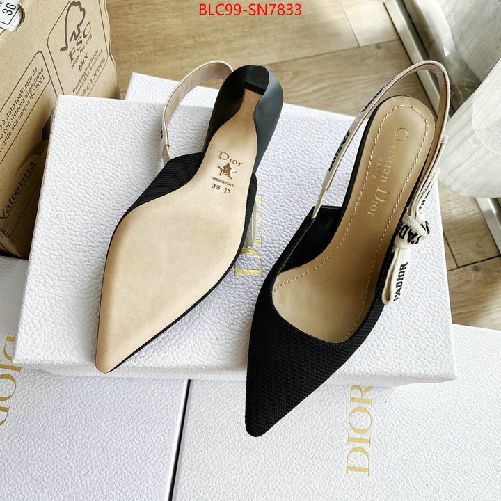 Women Shoes-Dior,replica 2023 perfect luxury , ID: SN7833,$: 99USD