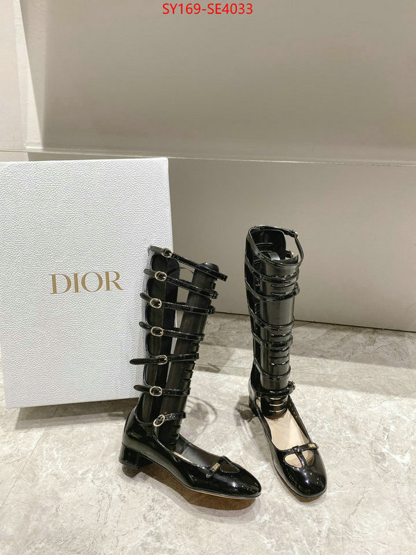 Women Shoes-Dior,top quality replica , ID: SE4033,$: 169USD