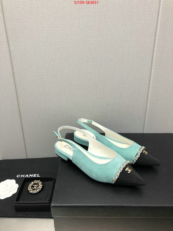 Women Shoes-Chanel,can you buy knockoff , ID: SE4851,$: 109USD