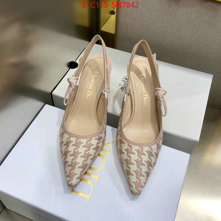 Women Shoes-Dior,designer 7 star replica , ID: SN7842,$: 119USD