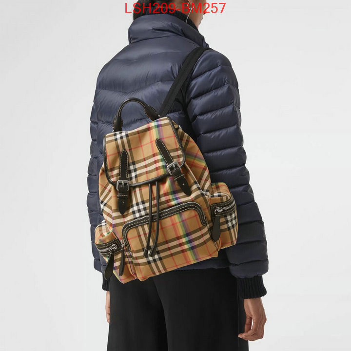 Burberry Bags(TOP)-Backpack-,quality aaaaa replica ,ID: BM257,$:209USD