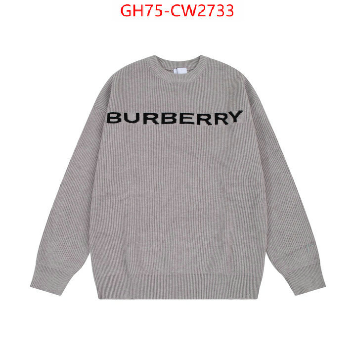 Clothing-Burberry,where can i buy , ID: CW2733,$: 75USD