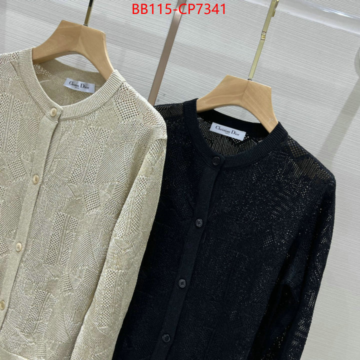 Clothing-Dior,cheap wholesale , ID: CP7341,$: 115USD