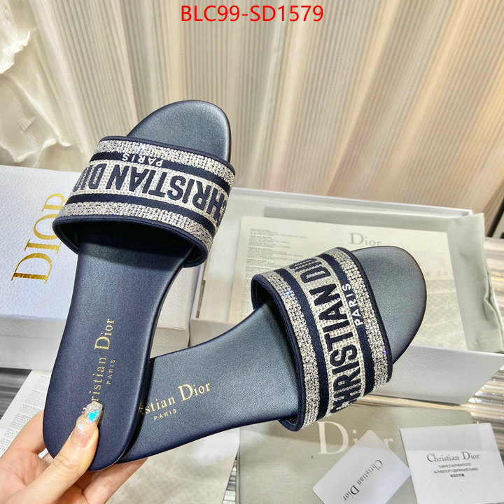 Women Shoes-Dior,buy aaaaa cheap , ID: SD1579,$: 99USD