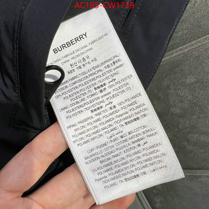 Down jacket Women-Burberry,2023 luxury replicas , ID: CW1739,$: 185USD