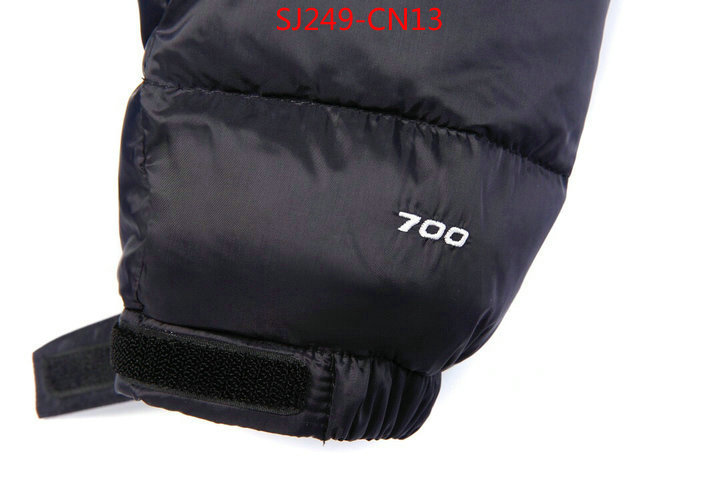 Down jacket Women-The North Face,buy 2023 replica , ID: CN13,$: 249USD