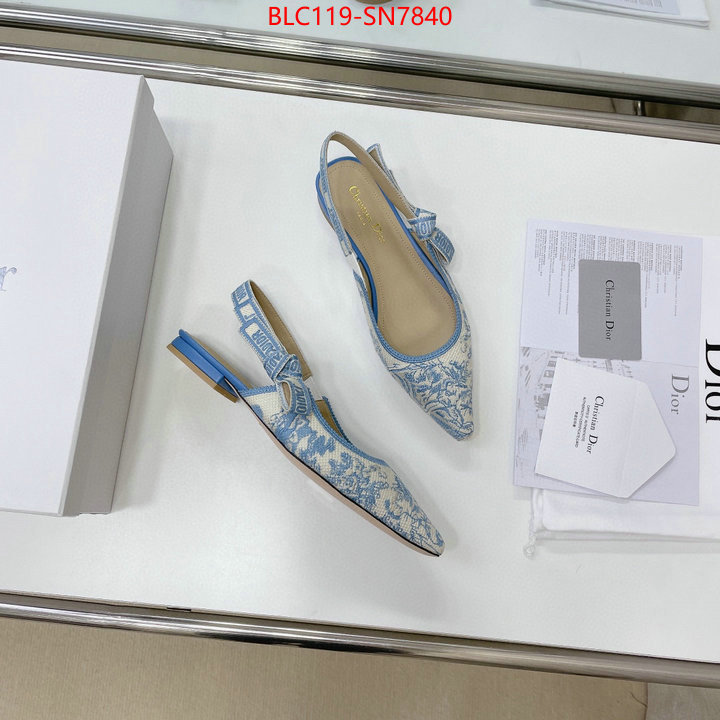 Women Shoes-Dior,replica designer , ID: SN7840,$: 119USD