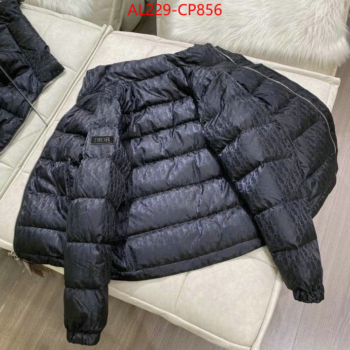 Down jacket Women-Dior,china sale , ID: CP856,$: 229USD