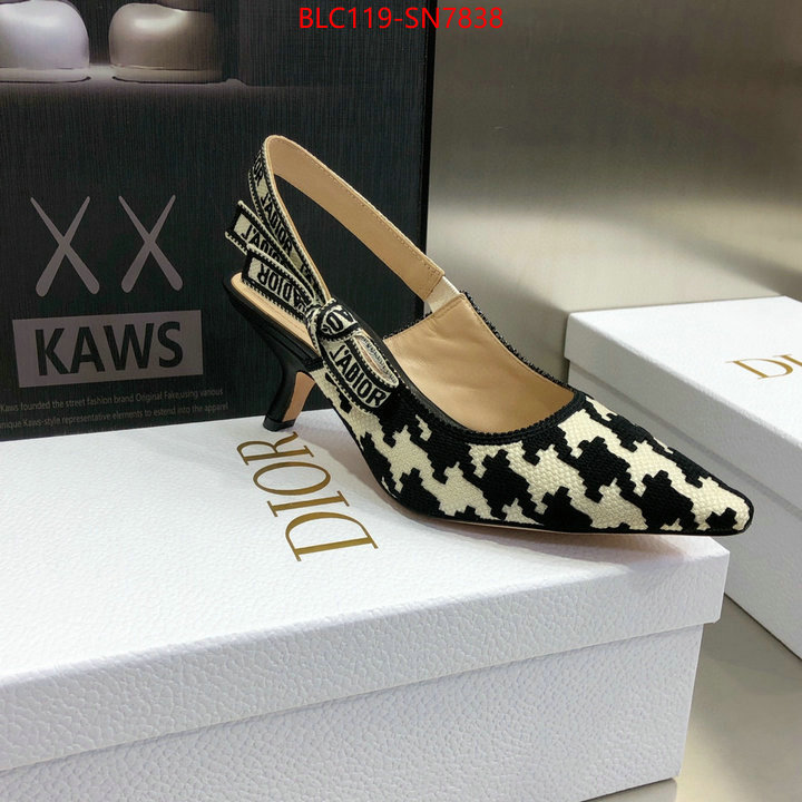 Women Shoes-Dior,can i buy replica , ID: SN7838,$: 119USD