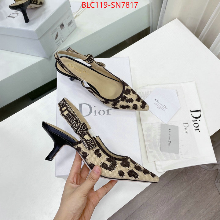 Women Shoes-Dior,top quality fake , ID: SN7817,$: 119USD