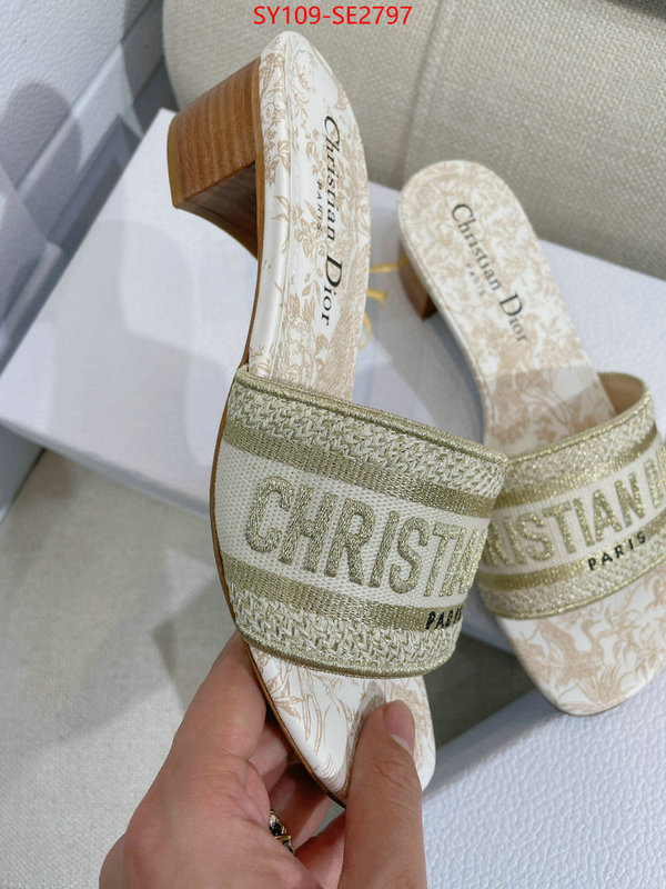 Women Shoes-Dior,shop the best high authentic quality replica , ID: SE2797,$: 109USD
