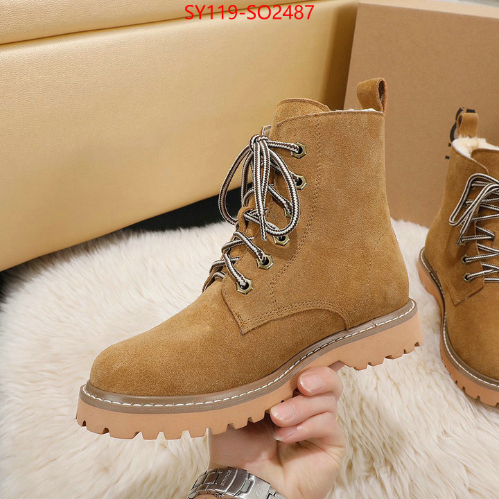 Women Shoes-UGG,buy replica , ID: SO2487,$: 119USD