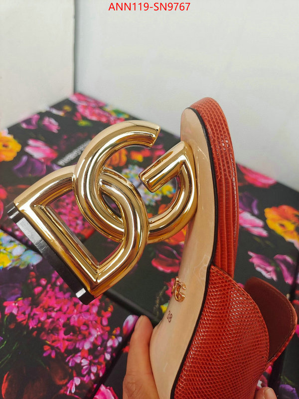 Women Shoes-DG,what's the best to buy replica , ID: SN9767,$: 119USD