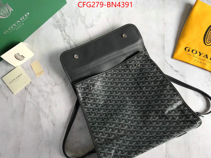 Goyard Bags(TOP)-Backpack-,ID: BN4391,$: 279USD