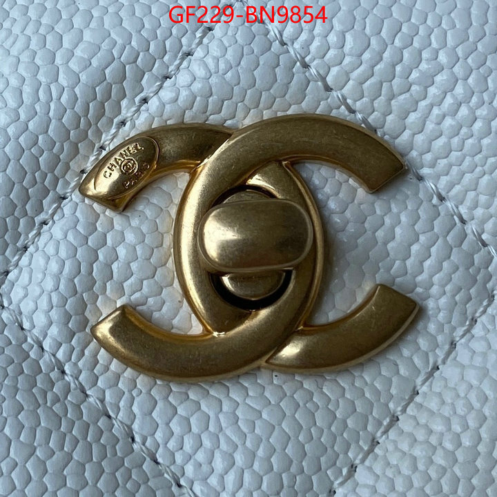 Chanel Bags(TOP)-Diagonal-,ID: BN9854,$: 229USD