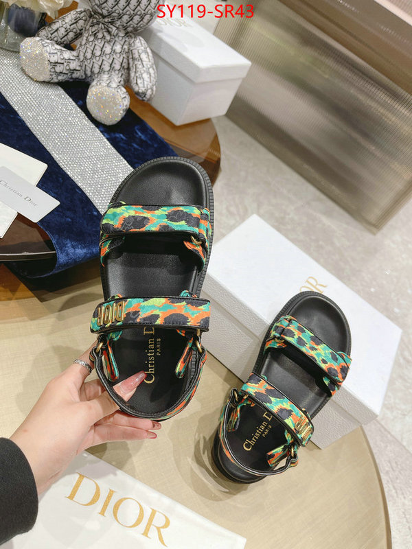 Women Shoes-Dior,is it ok to buy replica , ID: SR43,$: 119USD