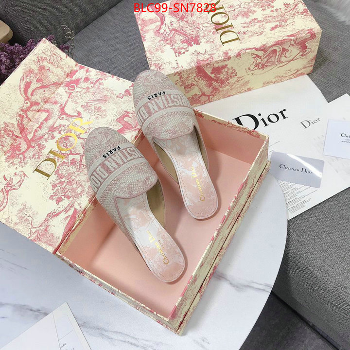 Women Shoes-Dior,1:1 replica wholesale , ID: SN7828,$: 99USD