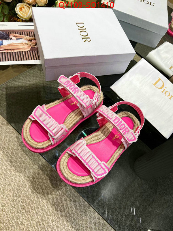 Women Shoes-Dior,wholesale , ID: SO1410,$: 109USD