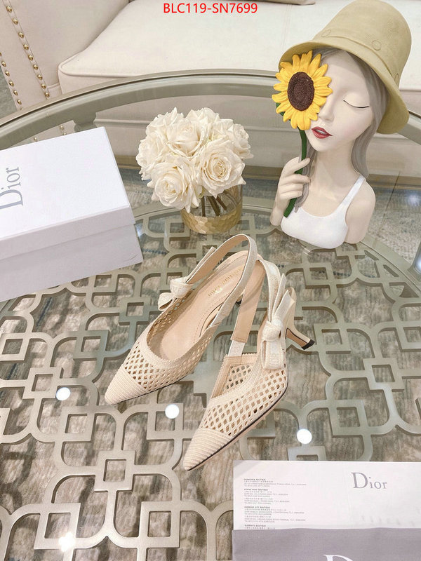 Women Shoes-Dior,buy replica , ID: SN7699,$: 119USD