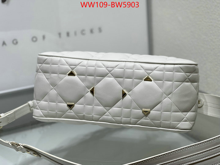 Dior Bags(4A)-Other Style-,ID: BW5903,$: 109USD