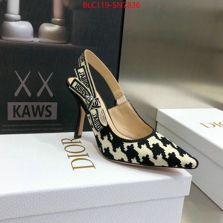 Women Shoes-Dior,what's the best to buy replica , ID: SN7836,$: 119USD