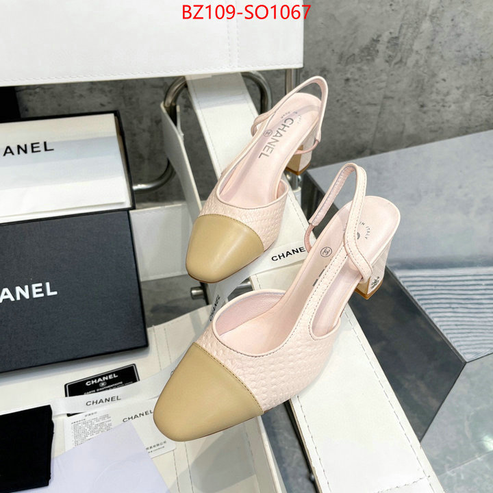 Women Shoes-Chanel,brand designer replica , ID: SO1067,$: 109USD