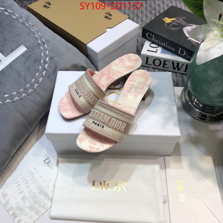 Women Shoes-Dior,wholesale replica , ID: SD1137,$: 109USD