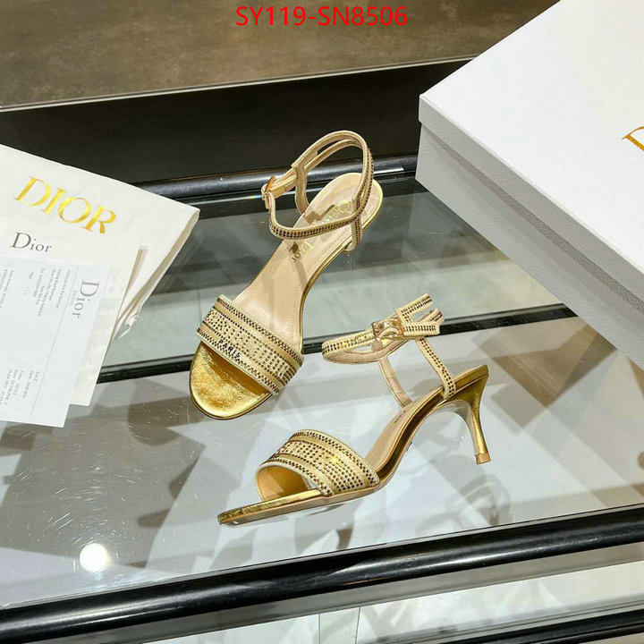 Women Shoes-Dior,knockoff , ID: SN8506,$: 119USD