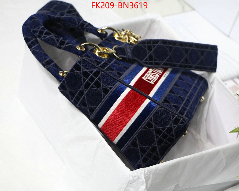 Dior Bags(TOP)-Lady-,ID: BN3619,$: 209USD